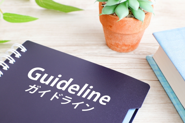 GuidelineNavigator Interface